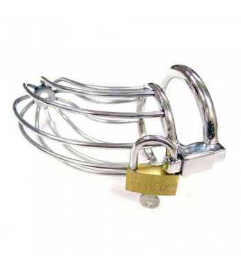 Chastity Device Natalie Silver 2