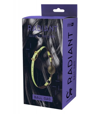 Ball Gag Glow In The Dark...